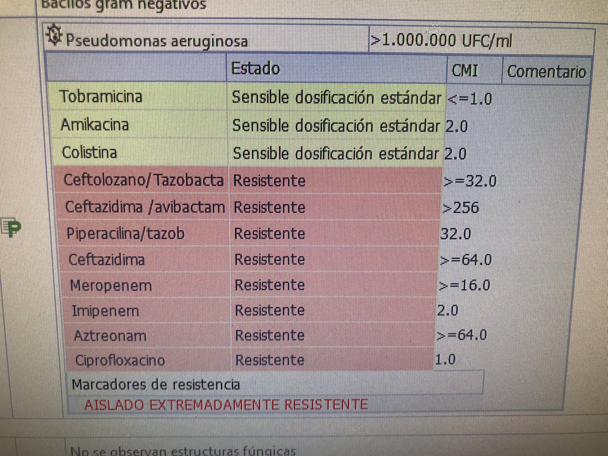 Qué miedito 🤦🏼‍♀️