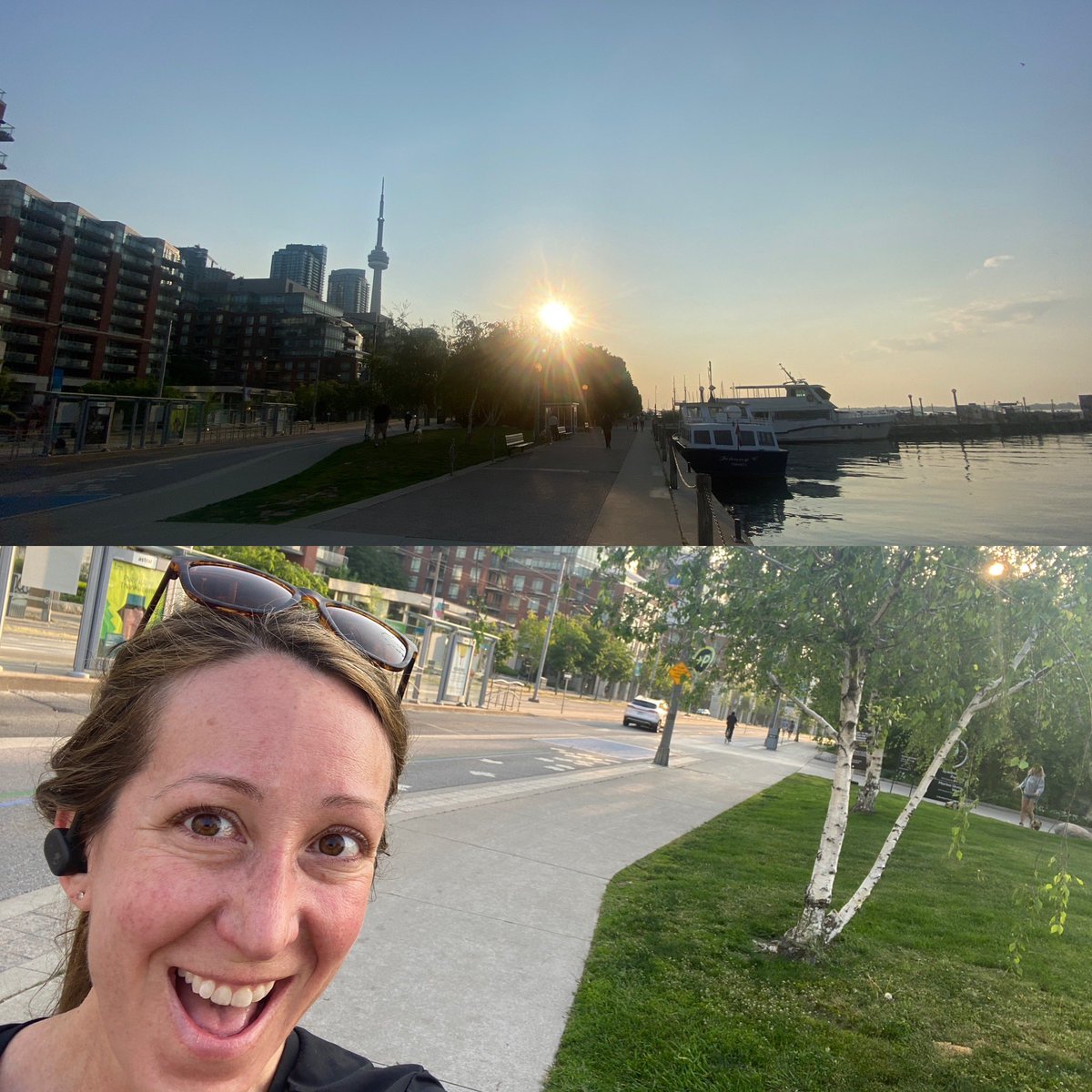 Andrea Dicks tweet media