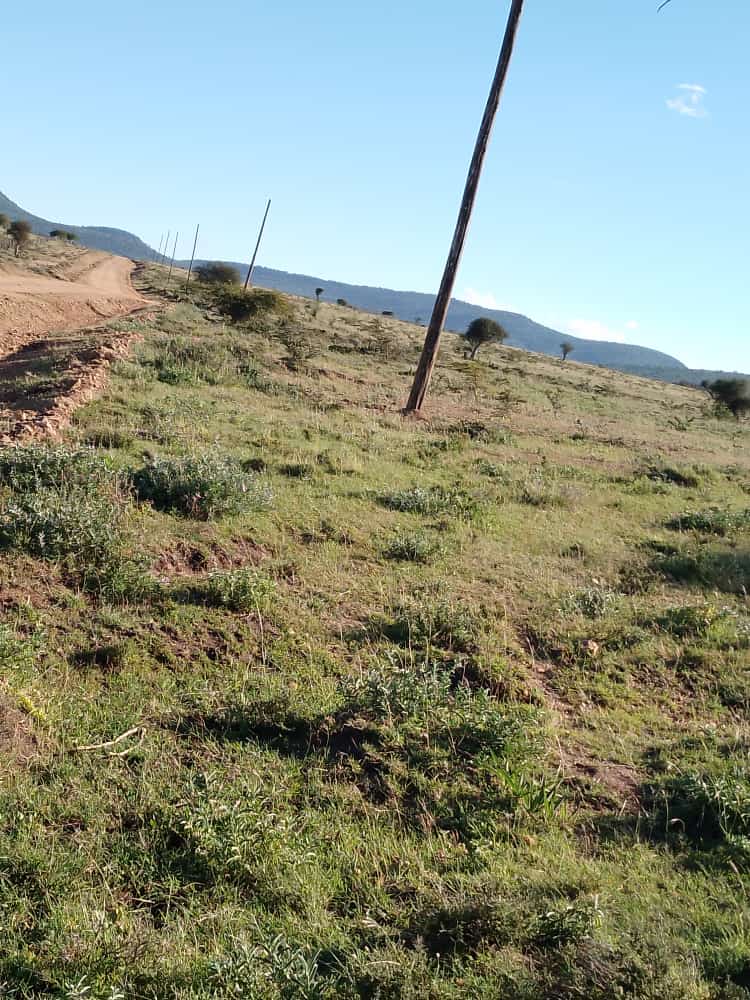 GKTongoyo's tweet photo. Rural Electrification is part of the Kenya Kwanza Government manifesto.
This is Naikarra -Leshuta Electrification program in Naikarra Ward in my constituency. https://t.co/qplxjTDsuO