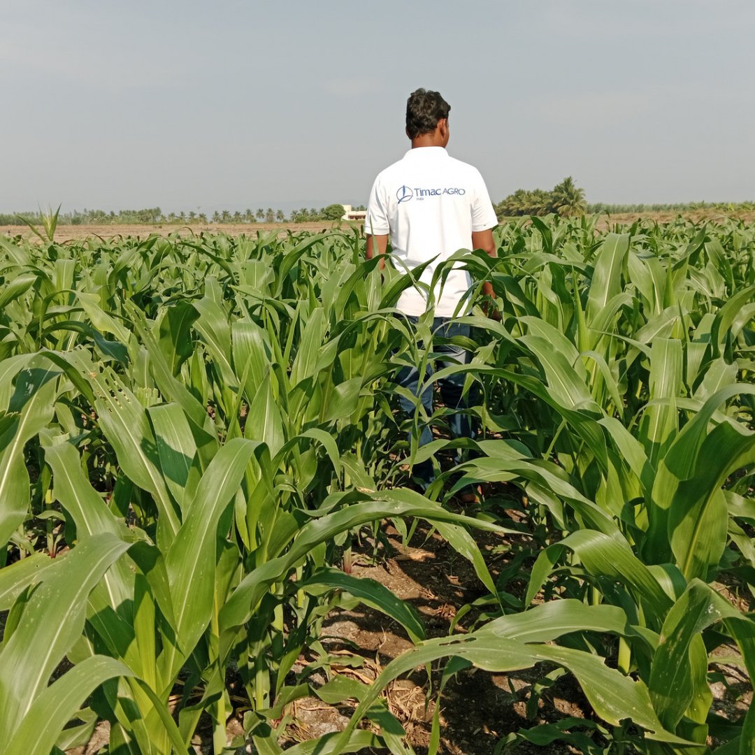 #FarmTheFuture, Our Timac Agro India reps visit 200 acres, serving 300+ farmers with sustainable solutions. Contact them for optimal crop nutrition practices. #Farming #TimacAgroIndia #Agriculture #Sustainability