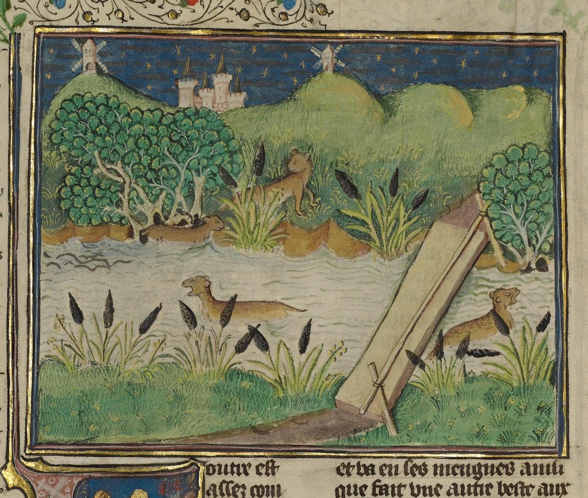 Kathleen Walker-Meikle tweet media