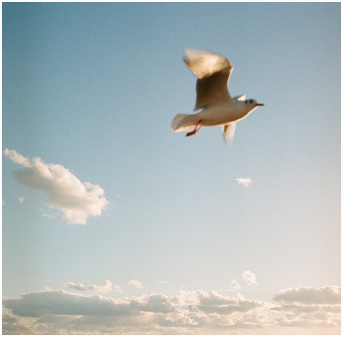 souvenir878's tweet image. nowhere