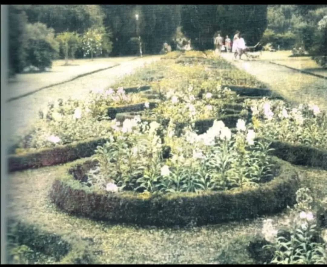 KenureP's tweet photo. Some more images of one of Irelands finest lost gardens https://t.co/S53BseDcuh