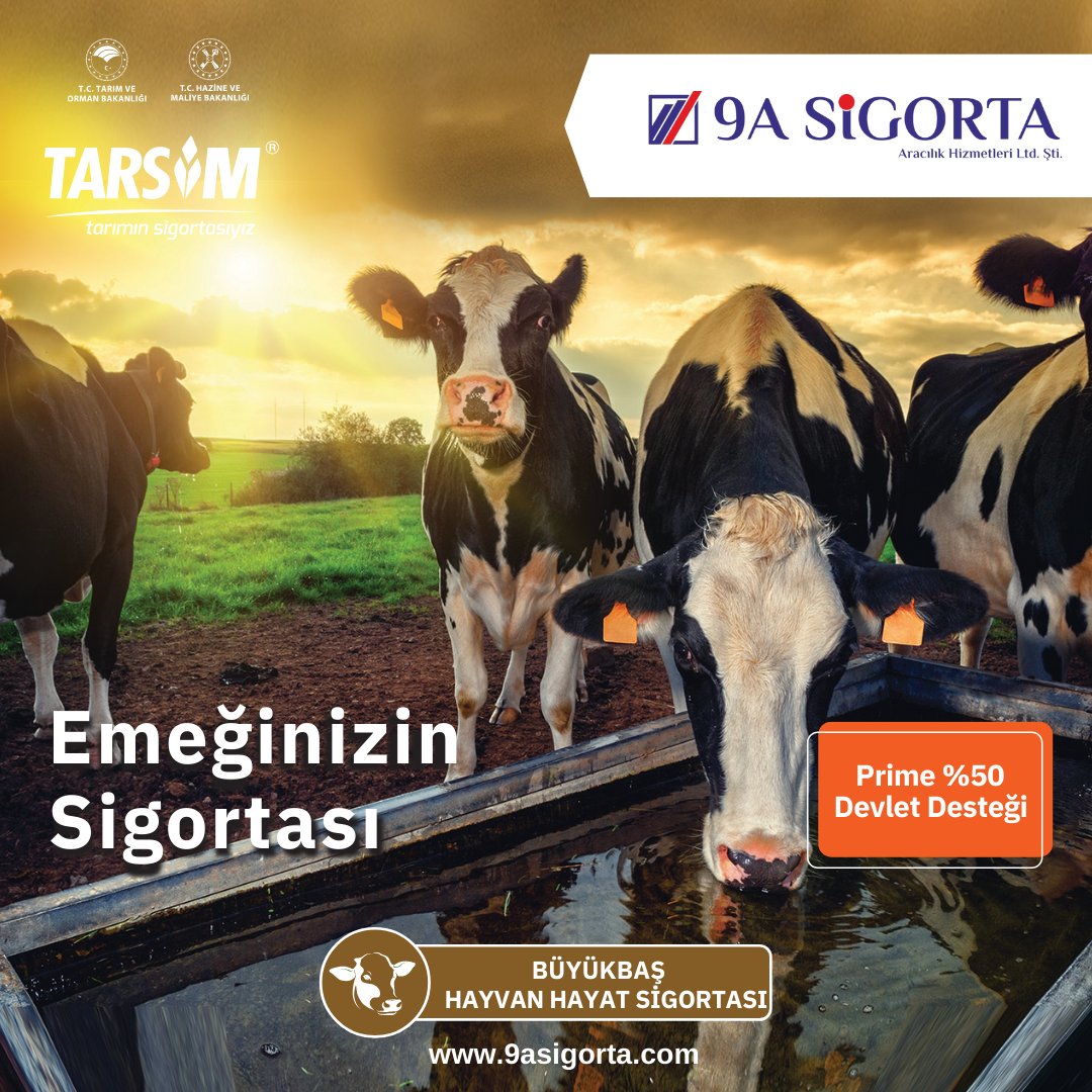 9asigorta's tweet photo. 🌾 Emeğinizin Sigortası 🚜

Geleceğimizin teminatı olan Hayvancılık Sektörü korumamız altında. 

💥Üstelik prim fiyatının %50'si devletten. 

#9asigorta #tarsim #tarım #hayvancılık #büyükbaş #çiftlik #çiftçi #insurance #farm #farmer https://t.co/ArrwO6iPCd
