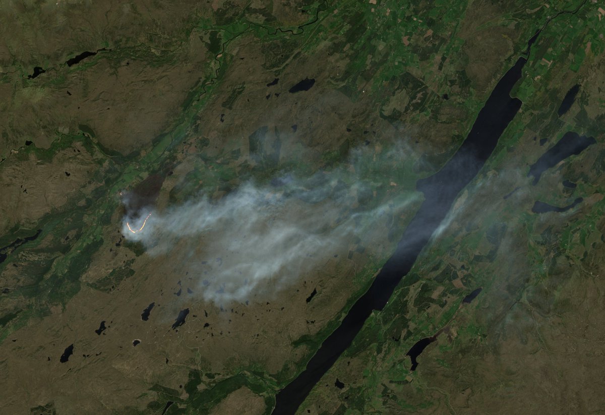 Prof Malcolm Macdonald ⊕ tweet media