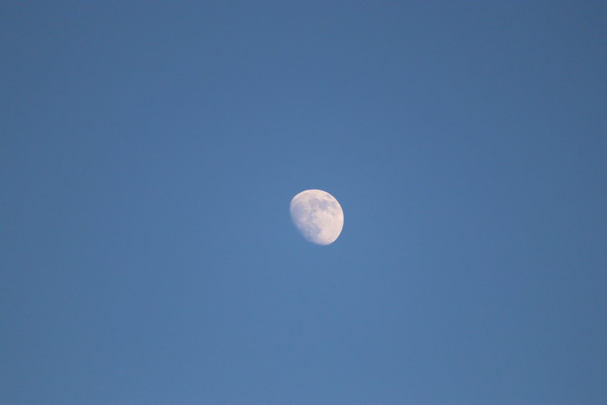 月はいつでも綺麗ですね🌔
明日から6月だけど
夜はまだまだ肌寒い