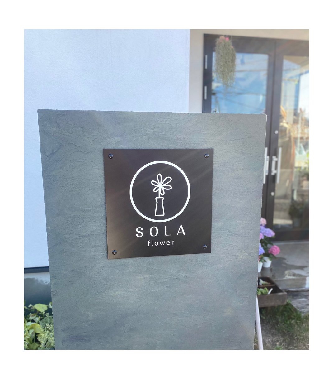 rrcotton_ruri's tweet photo. 2022.2.22にOpenされた
SOLA flowerさんへ妹と
店内はいい香りで
ステキなお花いっぱい
珍しいお花もいっぱい
デスプレイもステキでした✨
#お花屋さん
#solaflower
#草津市駒井沢 https://t.co/NGqVRl97Xi