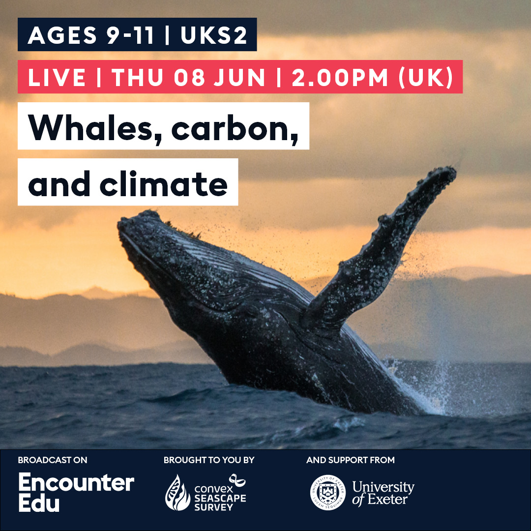 We are excited to be celebrating #worldoceanday with this fantastic live lesson all about 🐳🐳 and their importance for 🌍 Thursday 8 June / 2pm (UK) Book now ⬇️ ow.ly/qIE750OAvi6 With @ConvexSeascape @Bluemarinef @ExeterMarine