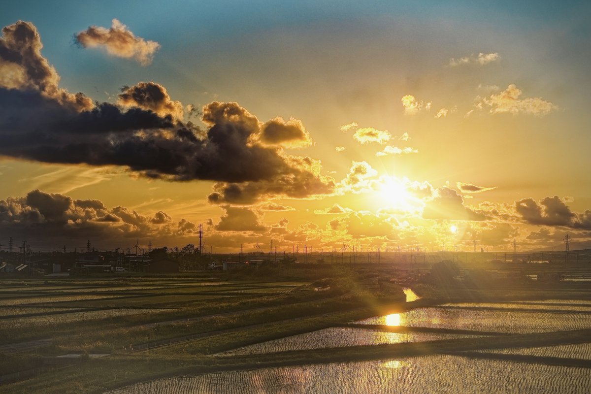 空に浮かぶ雲が夕焼けに染まって水田に映るのを眺めていると(*´꒳`*)まるで夢の中にいるかのようだったにゃ♪