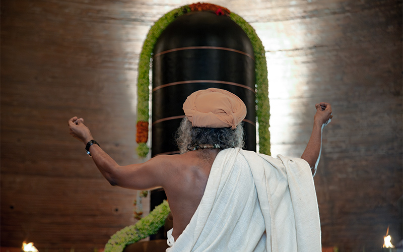 The Divine is not something that descended from heaven – it is a ladder that you can climb to Evolve into a Higher Possibility. #SadhguruQuotes