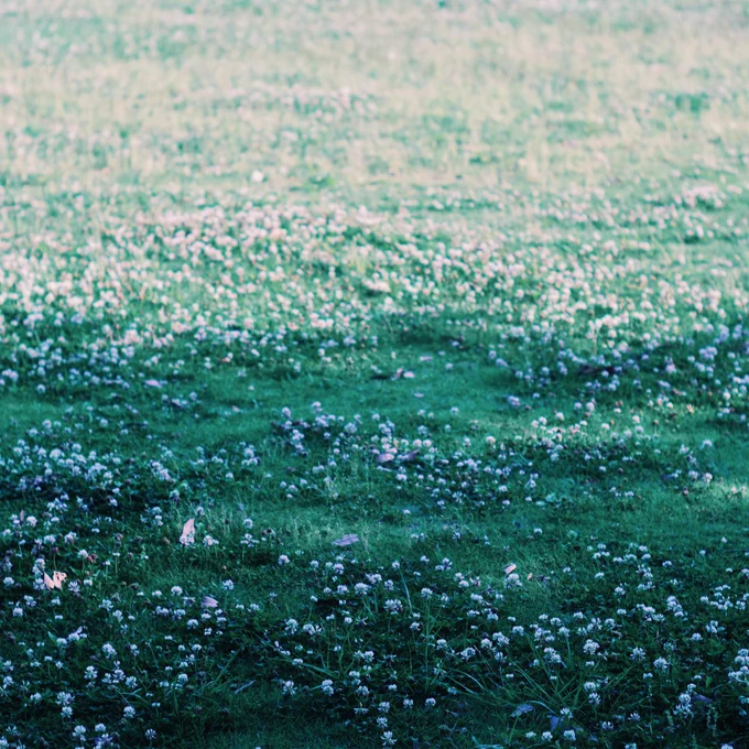 texture