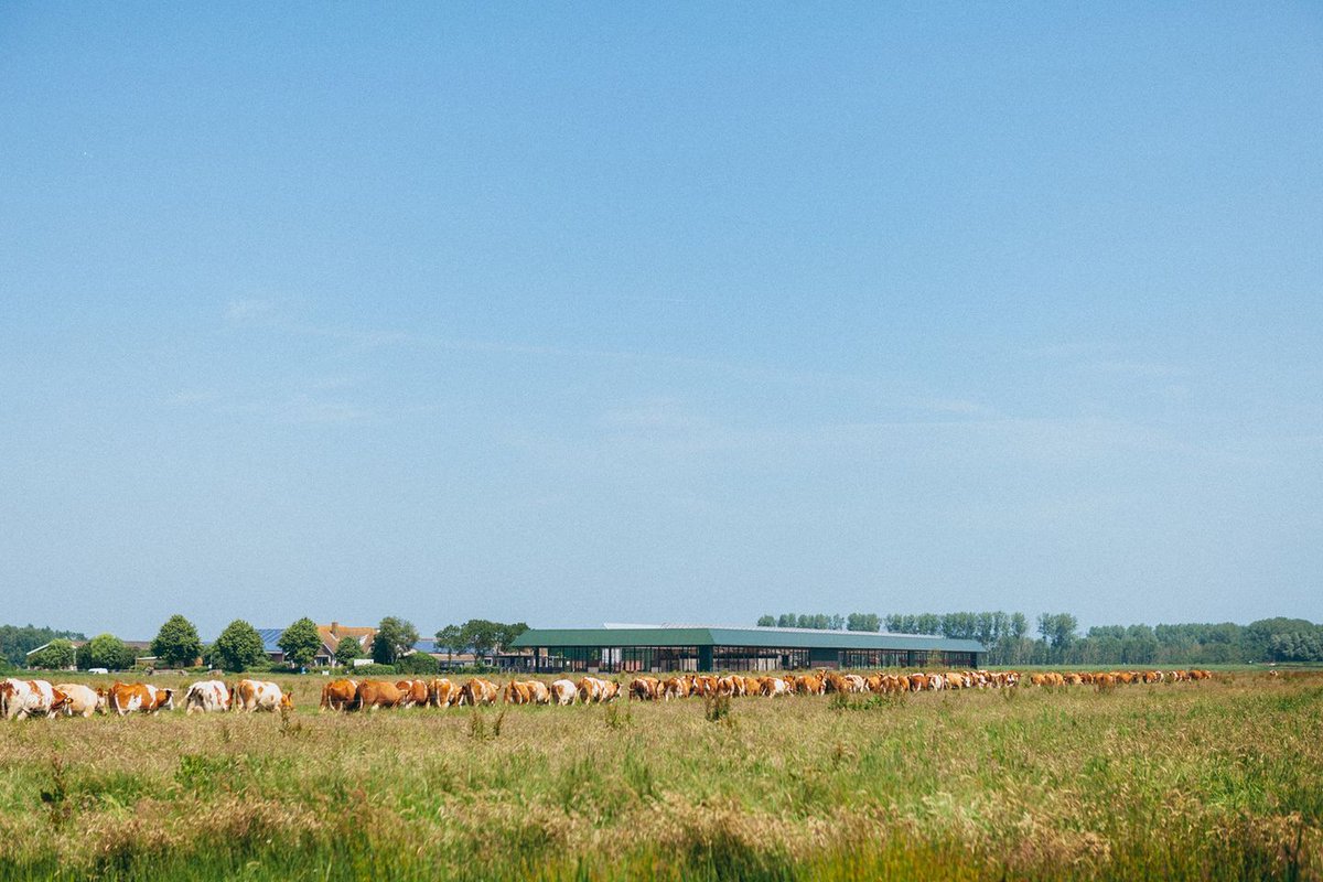 Op 22 juni maken we de tussenbalans op. Daarbij laten we ons inspireren door de plek; Hoeve Biesland. Én we nemen de hobbels in het systeem onder de loep. Waar loop jij tegen aan? Schrijf je in! 
voedselfamilies.nl/activiteit/net…

#landbouw #zuidholland #transitie #voedseltransitie