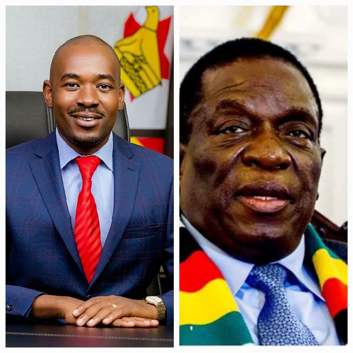 africannyoutt's tweet image. 23 AUGUST 2023 is the day...Let's see something here...WHO ARE YOU VOTING FOR?

RETWEET FOR PRESIDENT NELSON CHAMISA &amp;amp; CCC

LIKE FOR PRESIDENT MNANGAGWA &amp;amp; Zanu PF

let's go
#TakaNoVoter