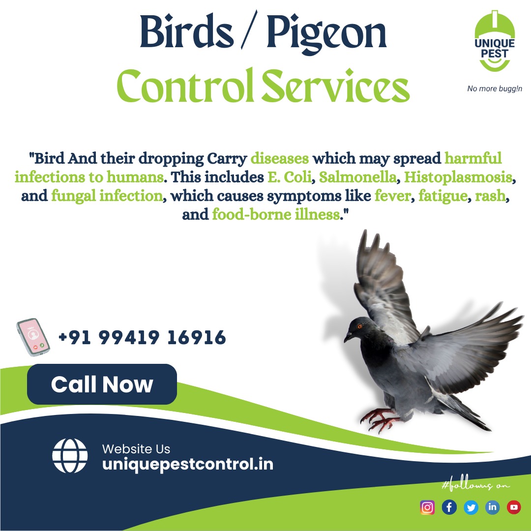 pest_unique's tweet image. &quot;Bird-proof your property with our reliable bird control solutions. From bird spikes to bird netting, we have the expertise to keep birds away, ensuring a clean and comfortable environment.”
Call: +91 99419 16916 or Log on to uniquepestcontrol.in/services/birds…

#Pigeoncontrol #Birdcontrol
