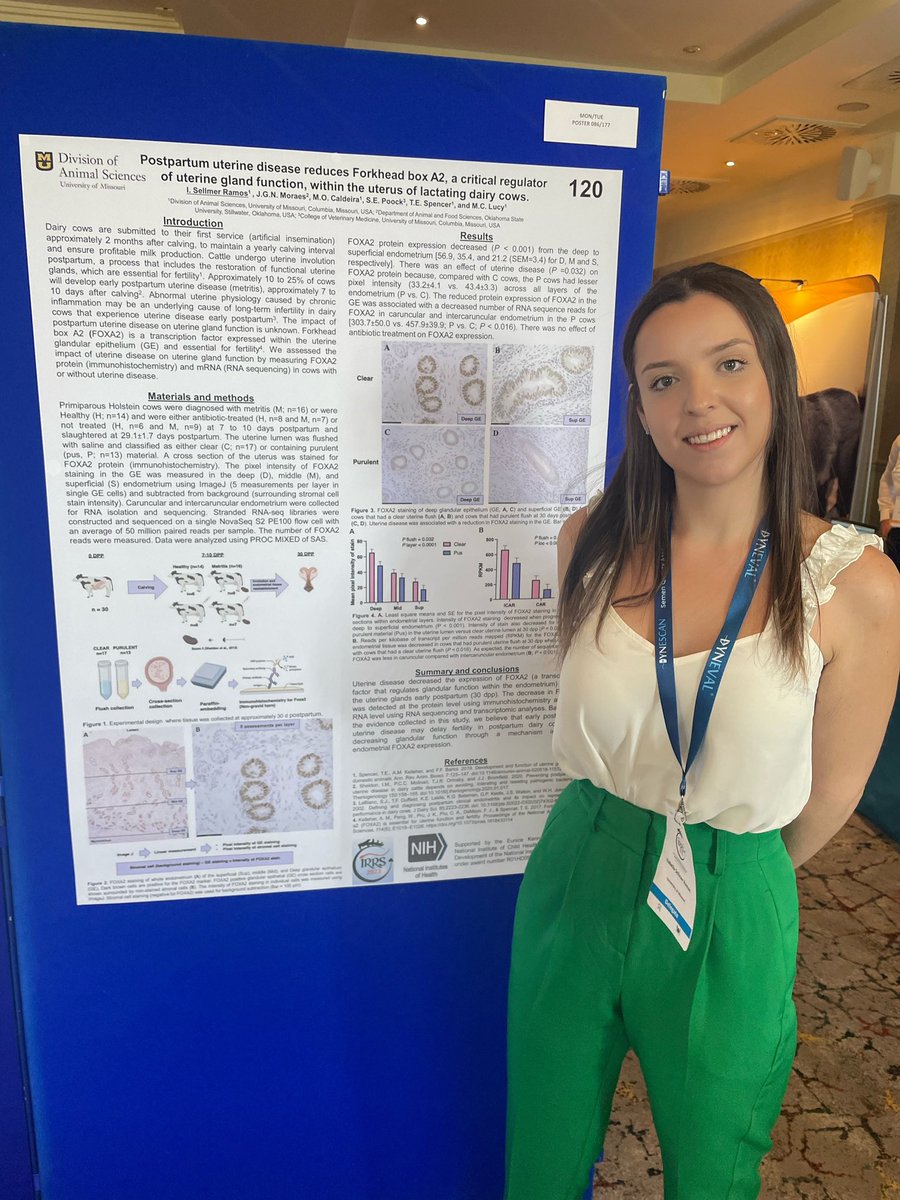 I’m glad I got to show some of my data at the 11th International Ruminant Reproduction Symposium in Galway! 
#teamuterus @irrs2023