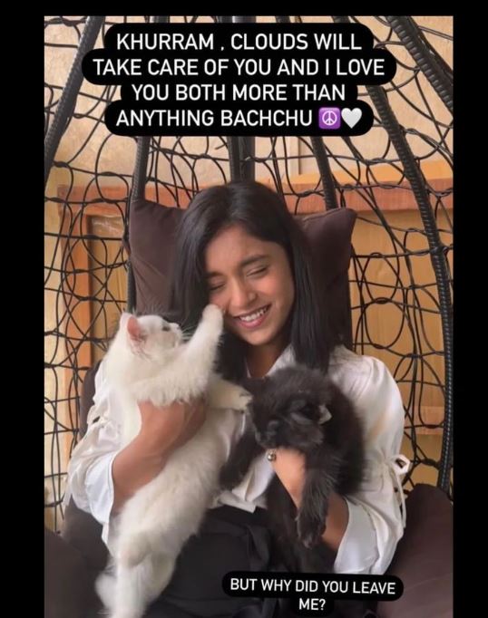 @sumbul_touqeer mourns the death of her pet cat and shares a sweet message on social media
.
.
.
.
.
.
.
.
.
.
.
#sumbul #sumbultouqeer #sumbultouqeerfans #sumbultouqueerkhan #sumbulsquad #sumbularmy #tellywood #tellywoodupdate #celebrity