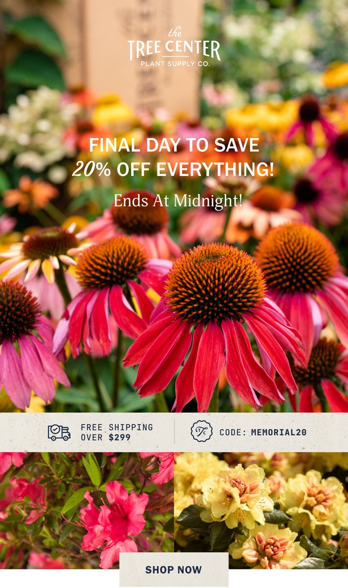 LAST CHANCE to save! Our Memorial Day Savings have been extended. Take 20% OFF every tree, shrub, plant, and perennial we sell! Simply enter the code MEMORIAL20 in your cart to claim your savings. thetreecenter.com