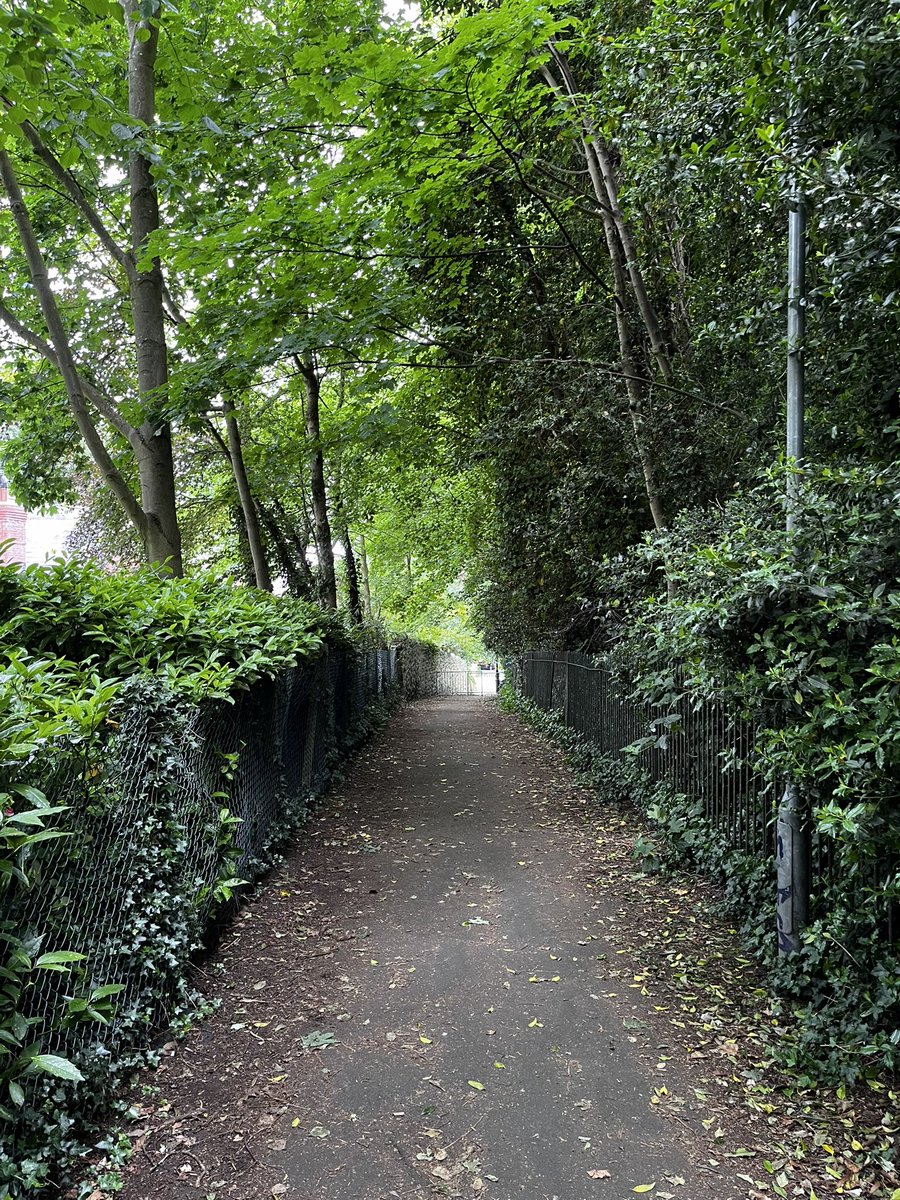 daniel__knox's tweet photo. My favourite stretch of the usual dog walk. Never get bored of it. https://t.co/xb365Kud4v