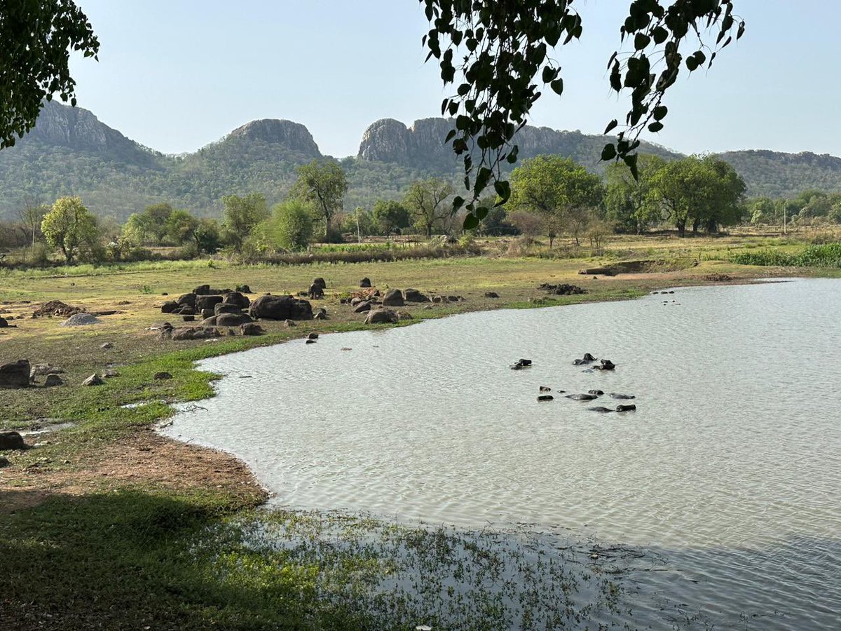 Archana Varma IAS 95 Assam tweet media