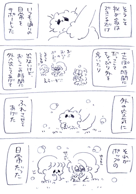 (4/5)