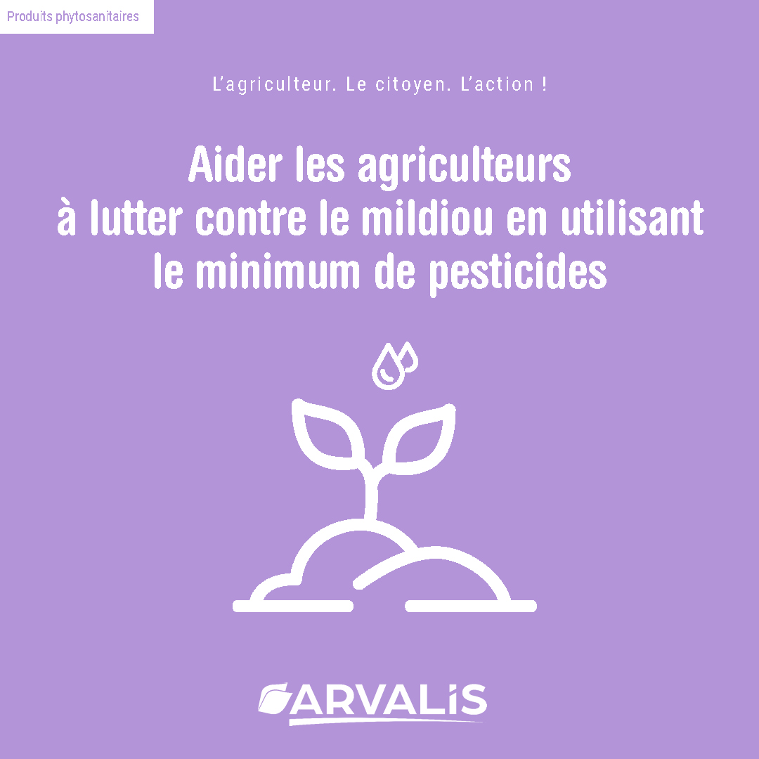 Arvalisofficiel's tweet image. Comment protéger les cultures de #pommedeterre 🥔 du #mildiou 🦠 en utilisant le minimum de pesticides ?

L'outil Mileos créé par @Arvalisofficiel 🛰️ prédit son apparition et informe le producteur en temps réel 🚜

👀 ow.ly/Srlv50OAsK3

#agriculture #souverainetéalimentaire