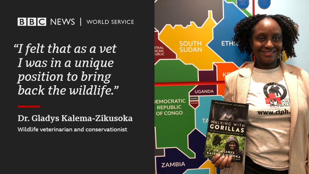 BBCAfrica's tweet photo. Uganda’s first wildlife vet, Dr. Gladys Kalema- Zikusoka has played an instrumental role in reviving Uganda’s gorilla population. 

What has inspired her career? 

🎧 https://t.co/Z1G0J4zR4Z https://t.co/QoxGMScNir