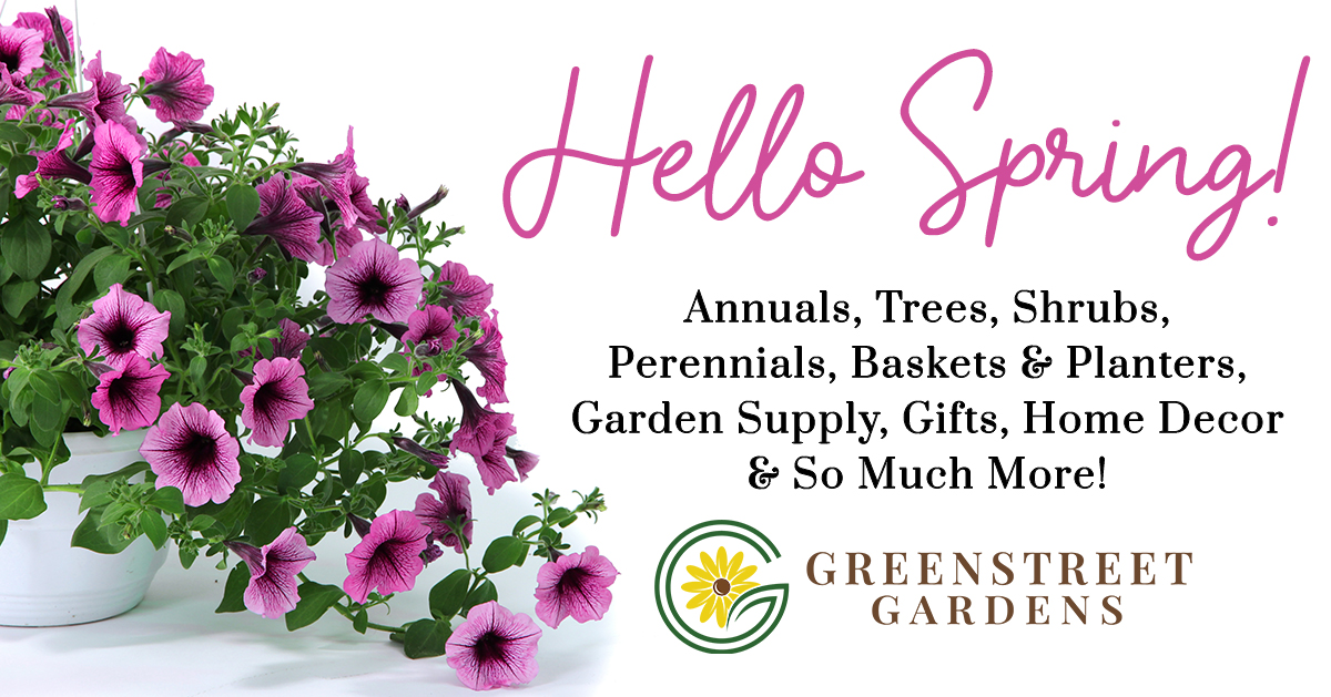 ZebraAlexandria's tweet image. Welcome the spring with Greenstreet Garden's Trees, Shrubs, and so much more! 

@GreenstreetGard 

#Greenstreet #GreenstreetGardens #Alexandria #Virginia #AlexandriaVirginia #Plants #Succulents #Botany