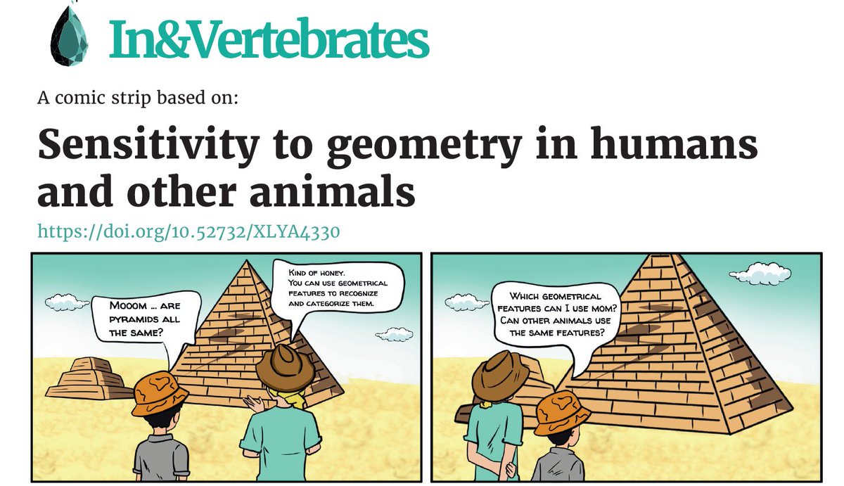 inandsight's tweet photo. Dive into @PlaciSarah review and explore the geometrical properties used by animals to recognize and categorize objects.
https://t.co/tPe1XjrxSe
#openscience #AcademicTwitter #science 
PS/ Do you want more science comic strips? https://t.co/R1G5DhToRJ
