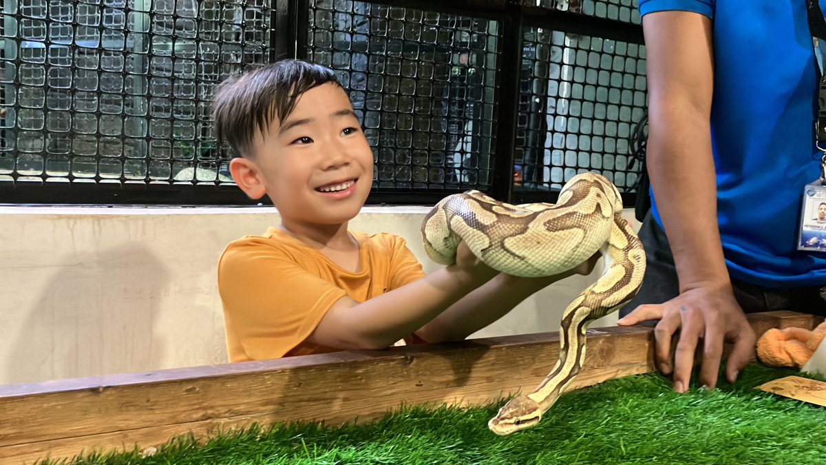 ChannelSotaro's tweet photo. 水族館にベビがいたよ🐍
大人は触りたがらないなか、
そーたろーは喜んで抱っこ😂🎉 https://t.co/2liIgRKl4P