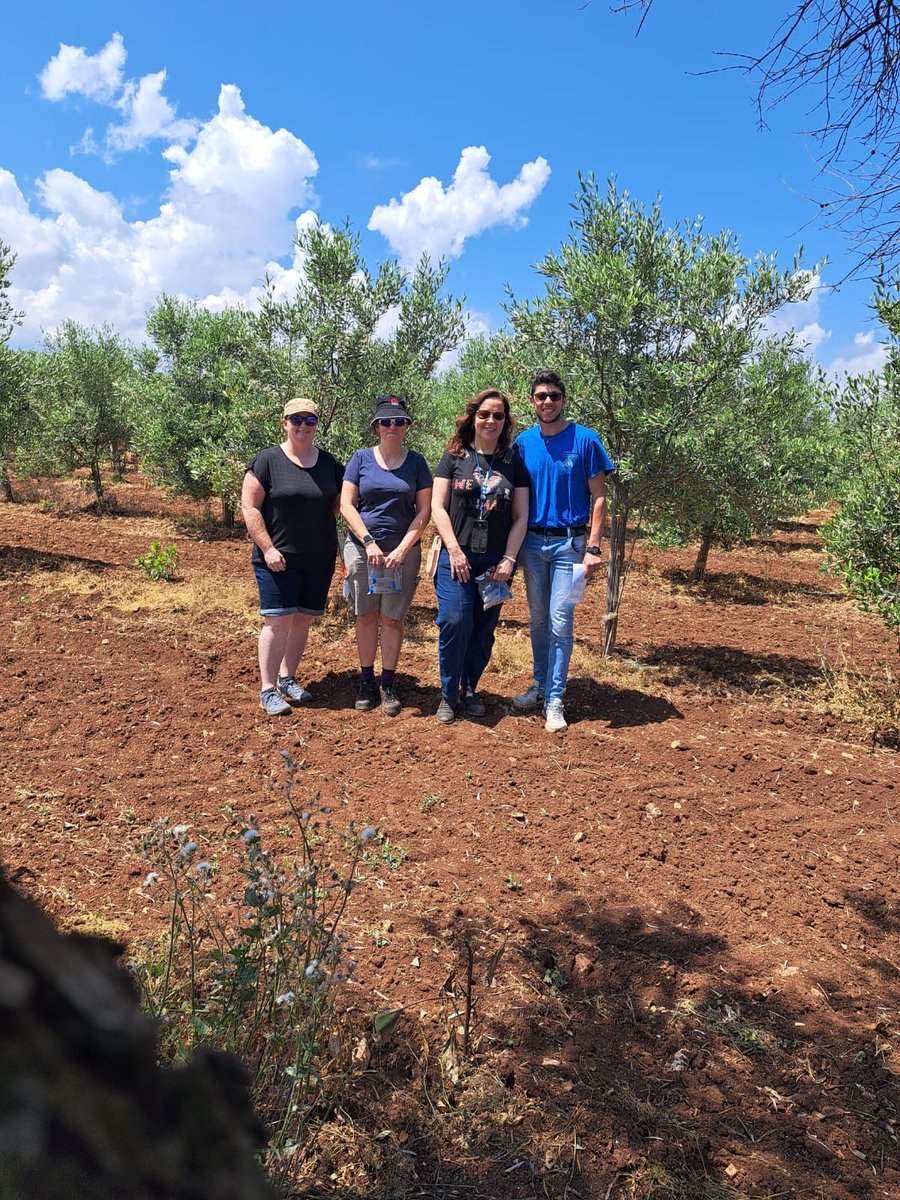 Sampling in Puglia with the help of A Surano and D.Boscia