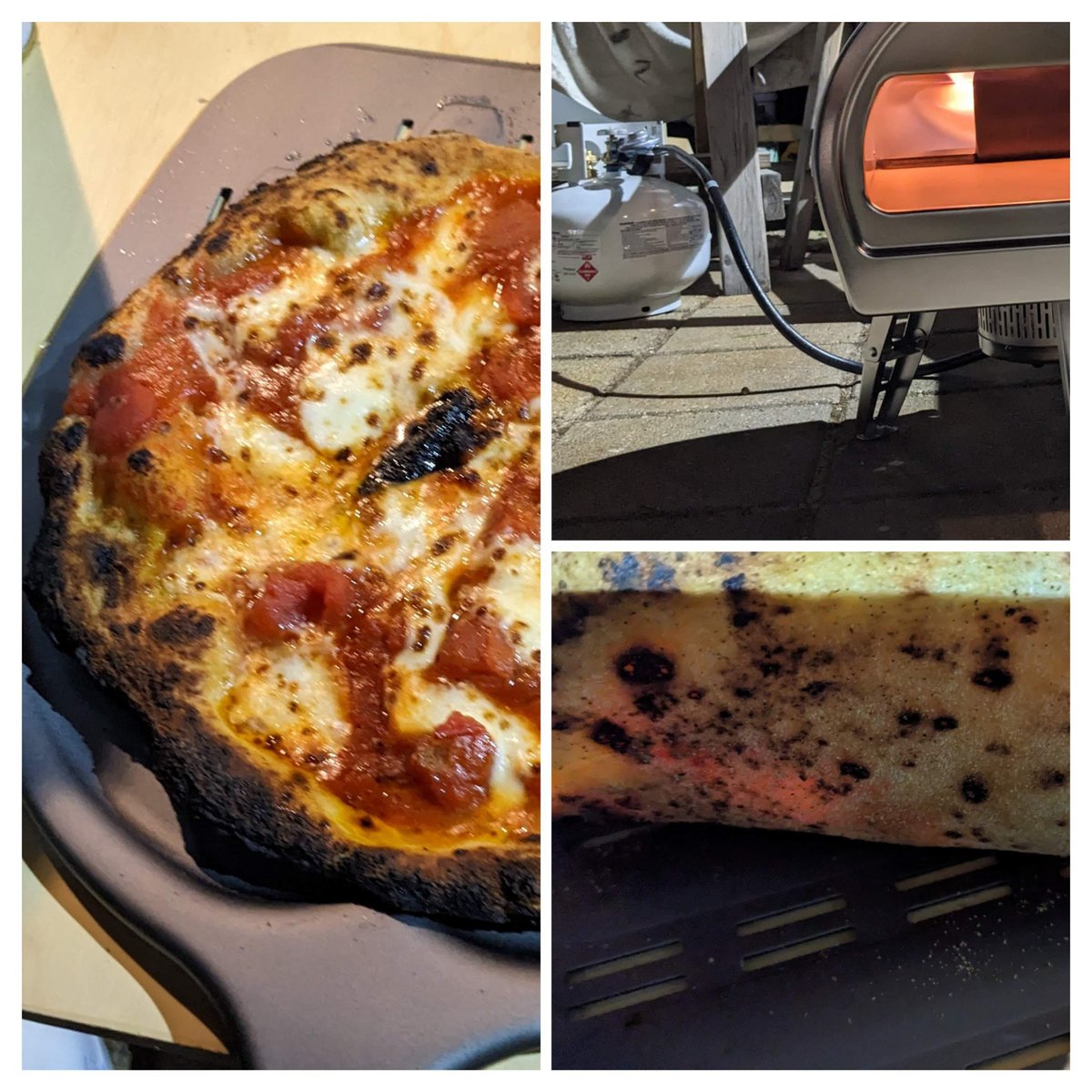 Pizza Pics Bot 🍕📷 tweet media