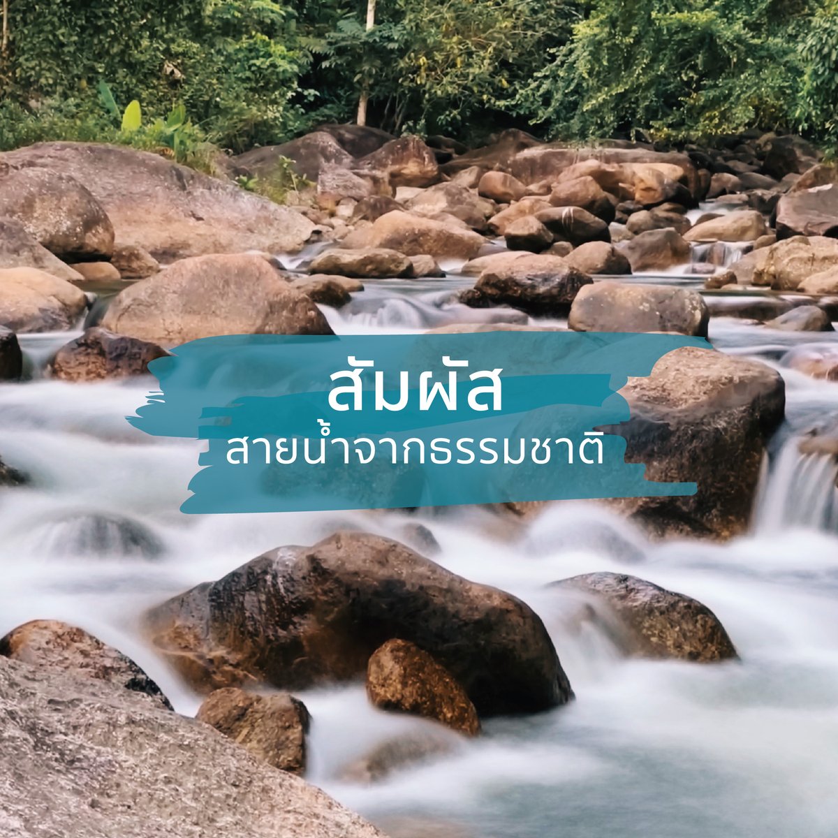 greenspacehome's tweet photo. บ้านพักส่วนตัวท่ามกลางธรรมชาติ อากาศบริสุทธิ์ ติดลำธารใหญ่ มาแช่ตัวได้ มาhikingได้ ชวนเพื่อนรัก มาสนุกด้วยกัน 💚 #ธรรมชาติบำบัด #บ้านพักส่วนตัว #นครศรีธรรมราช #ไทยเที่ยวไทย https://t.co/NgSe00CQvp