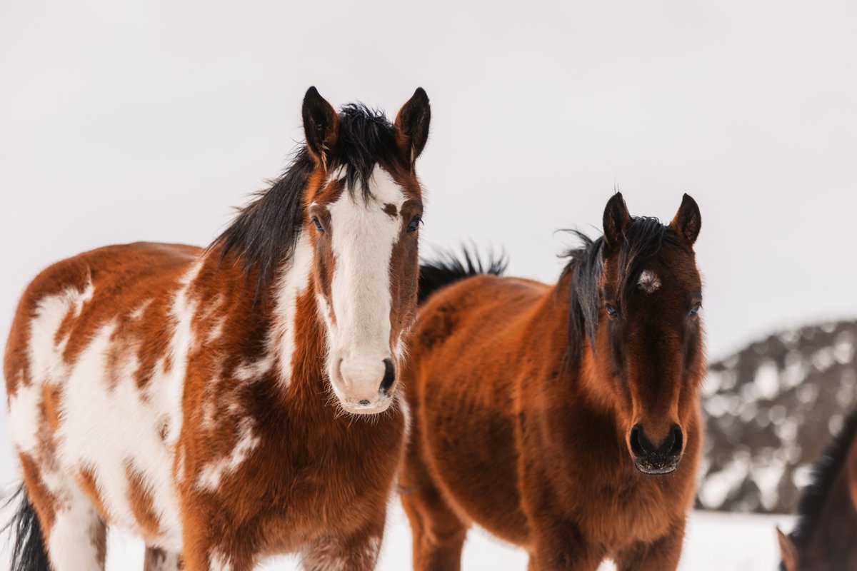 Never forget we have two lives. The first one beings when you realize you only have one.

📸:@gracepauleyphotography

#knowthyself #livingyourowncreation #mindfulness