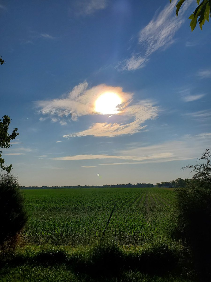 orbison_goy's tweet image. O sun of real peace! O hastening light!
O free and extatic! O what I here, preparing, warble for!
O the sun of the world will ascend, dazzling, and take his height—and you too, O my Ideal, will surely ascend!...
Walt Witman "O Sun of Real Peace"