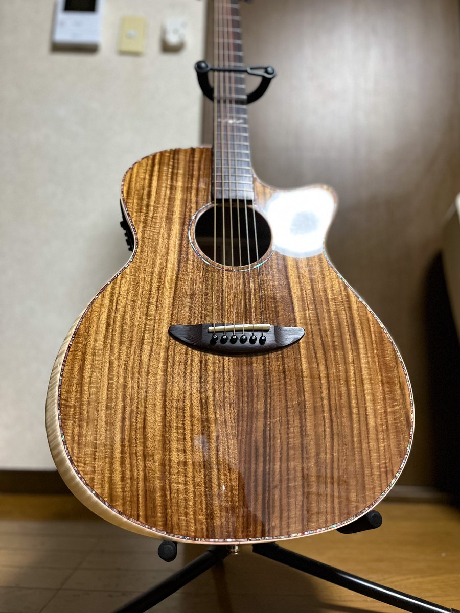 Aal_lzz_Well_'s tweet photo. Lapillusの景品獲れないの辛すぎて気付いたらギター買ってましたね。

今からお前の名はシャンティだ！
いいかい、シャンティだよ！ https://t.co/UYsL6ddONW