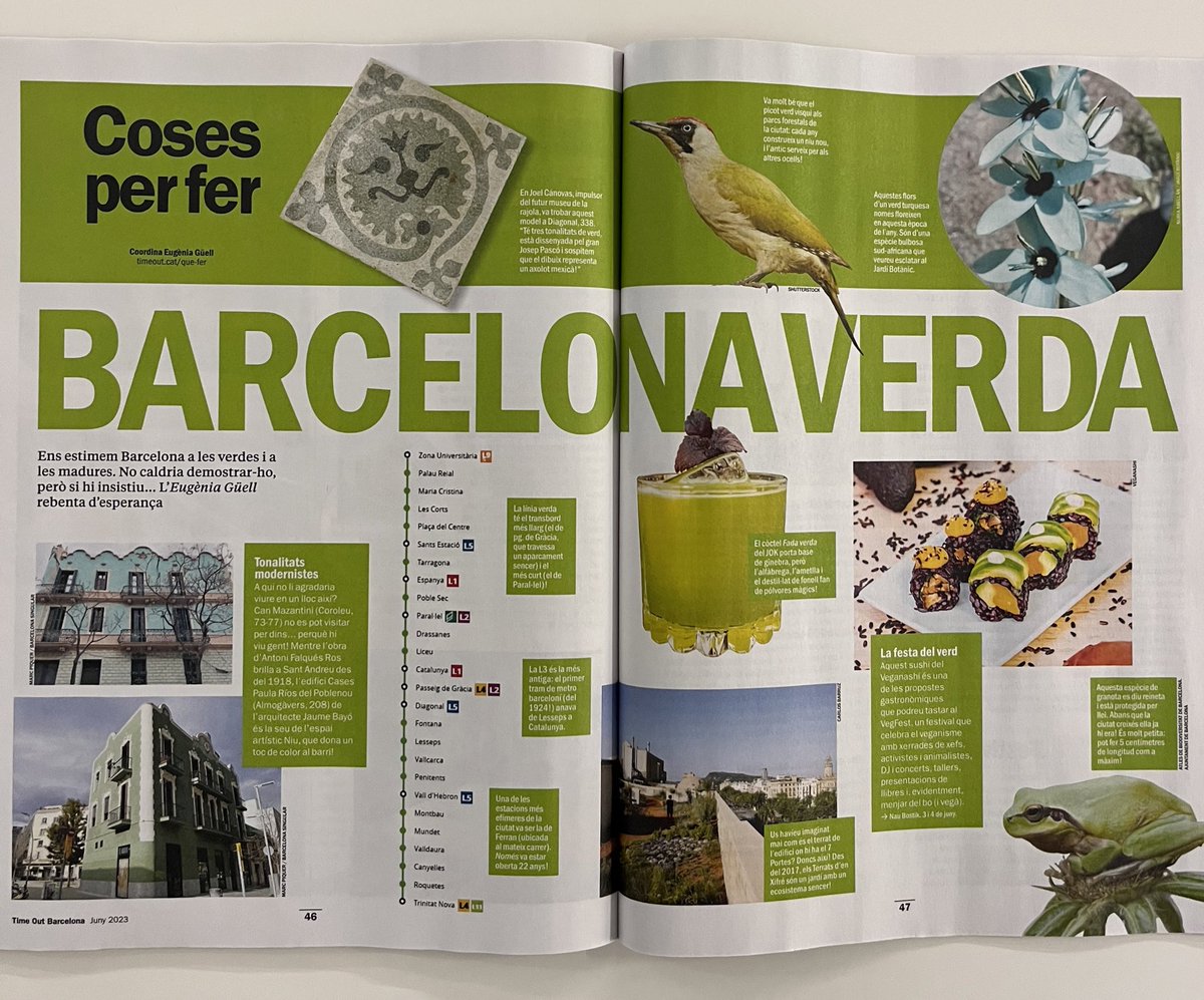 eugeniaguell's tweet image. El millor que us passarà avui: en @joelrajoles m’ha descobert aquesta rajola que sospita que representa un axolot mexicà. Passa a ser el meu animal preferit i necessito urgentment uns dibuixos animats sobre aquest amfibi 💘@TimeOutBCN