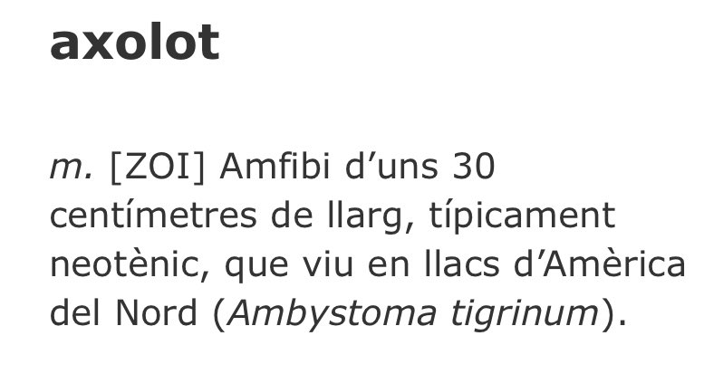 eugeniaguell's tweet image. El millor que us passarà avui: en @joelrajoles m’ha descobert aquesta rajola que sospita que representa un axolot mexicà. Passa a ser el meu animal preferit i necessito urgentment uns dibuixos animats sobre aquest amfibi 💘@TimeOutBCN