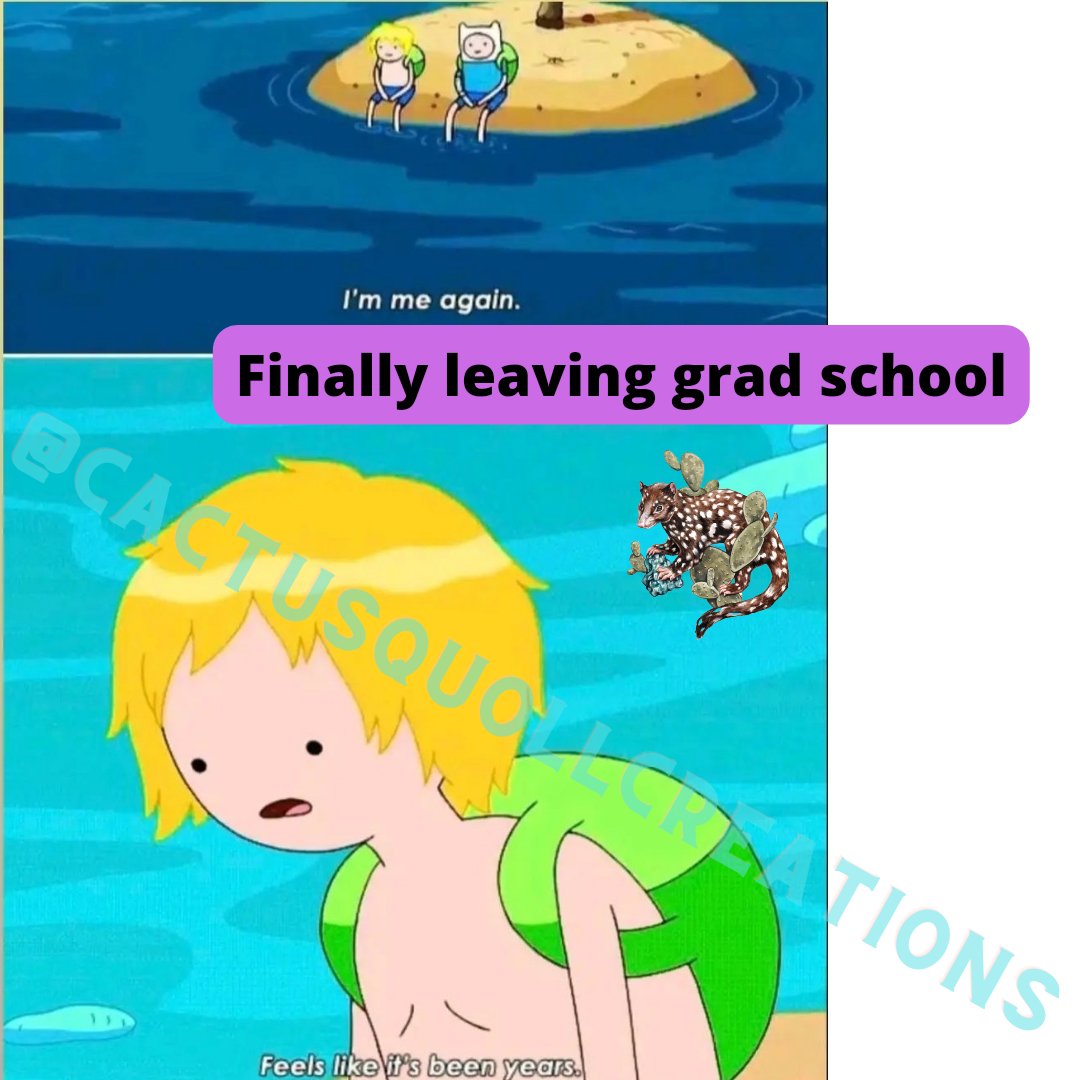 Gael Sanchez (she/her) (@cactusquoll) on Twitter photo 