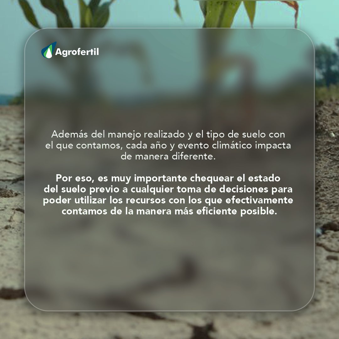 Sequía Prolongada: ¿Cómo afectó el estado nutricional del suelo? 👇🏻