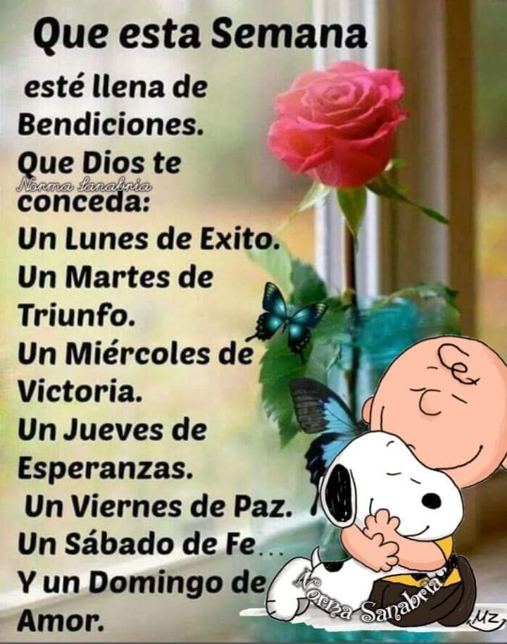 BereRS91's tweet photo. #BuenosDíasATodos. https://t.co/yJ6Ad8bt8a