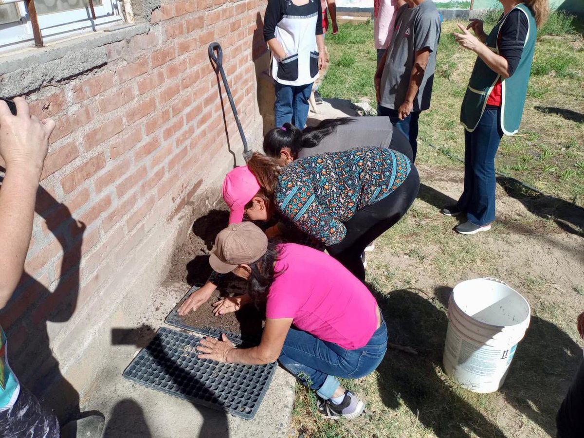 Luciana De Giovanett tweet media