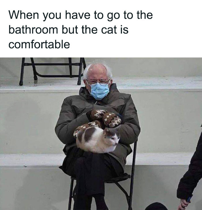 WholesomeMemes (@wholesomememe) on Twitter photo 