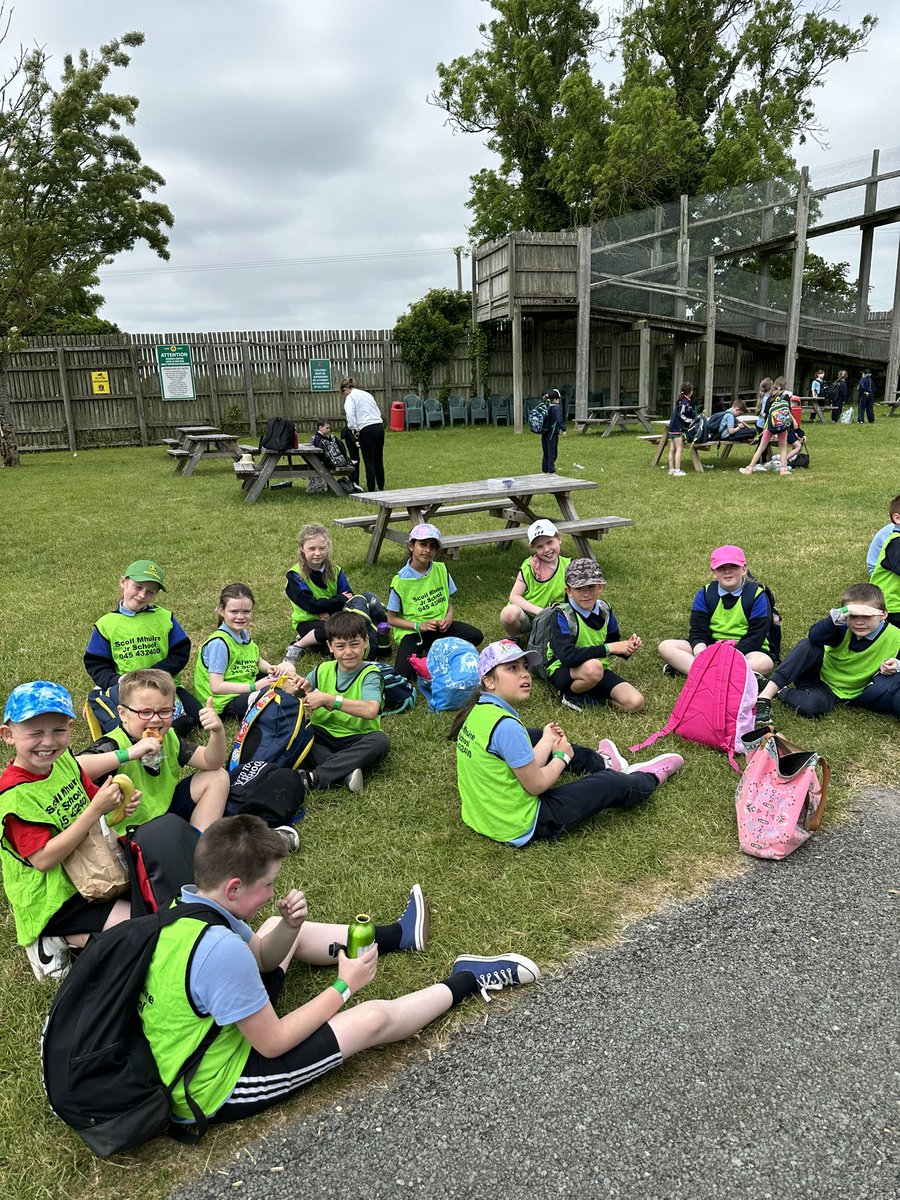 Hazel Ryan tweet media