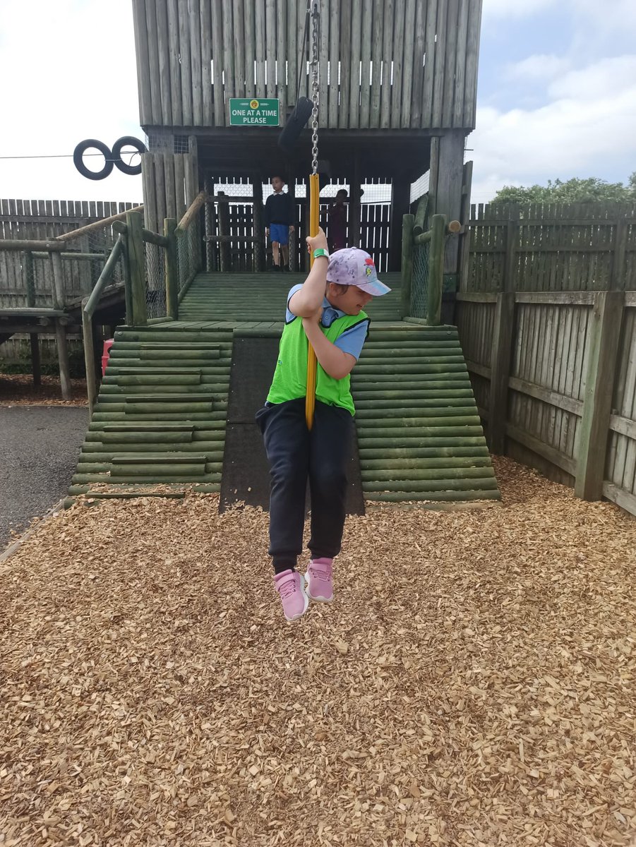 Hazel Ryan tweet media