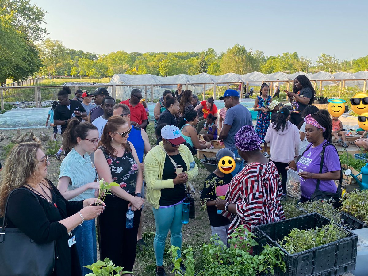 MrOmar__'s tweet photo. Congrats to our families from Sheppard PS, Africentric Alternative School and Braydon PS for a great Gardening Session with Toronto Black Farmers @LC2_TDSB_CSW @LC2_TDSB @Equity48 @TdsbAfricentric @BlaydonPs @tdsb_sheppardps @DomenicGiorgi @alexandralulka #BuildingCommUNITY 😎 https://t.co/ovfCGM4UMD