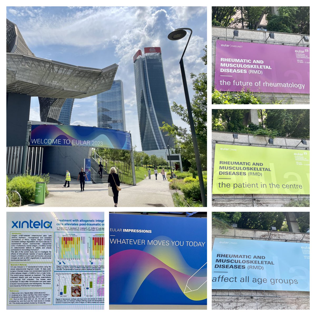 Ready for #EULAR2023 #osteoarthritis
