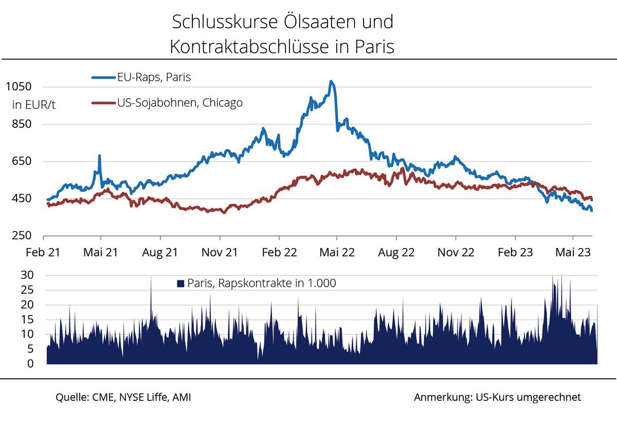 ufop_de's tweet photo. Grafik der Woche (KW 22): 
"Massiver Rückgang der Rapskurse": Die Notierungen für Raps befinden sich 2023 im Sinkflug, zwischenzeitlich unter 400 EUR/t. UFOP: Fragwürdige #UCOME-Importe aus China und Doppelanrechnung mitverantwortlich.
https://t.co/dGawhZHeMJ https://t.co/Vsn0dVaaUG
