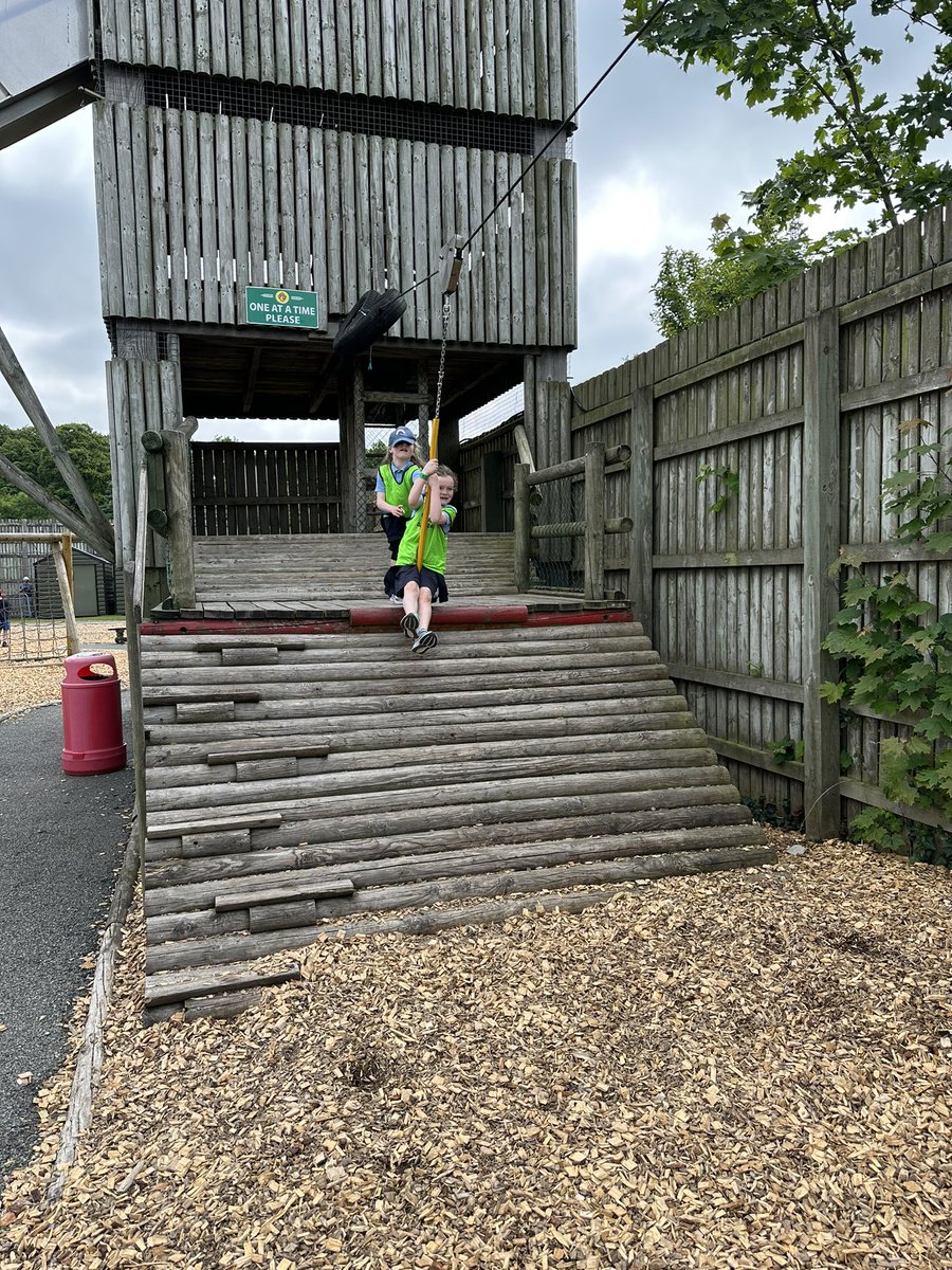 Hazel Ryan tweet media