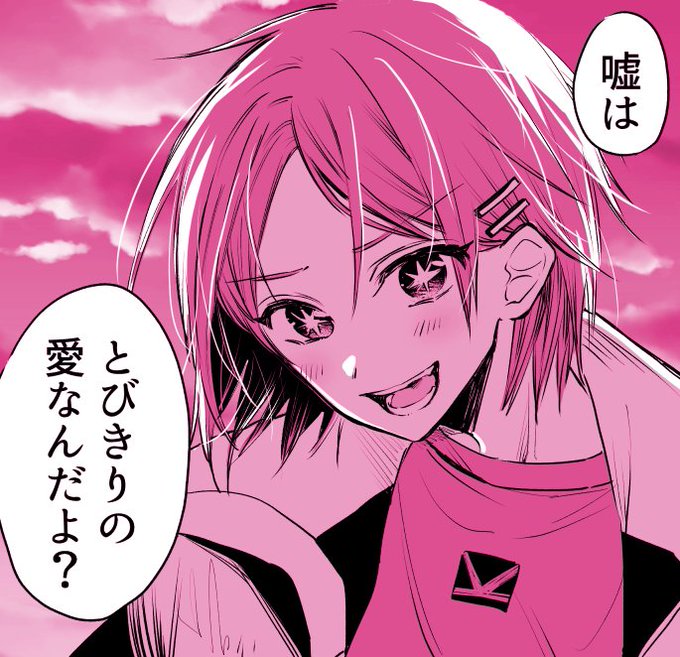 双子…アイドル…嘘…復讐…!?