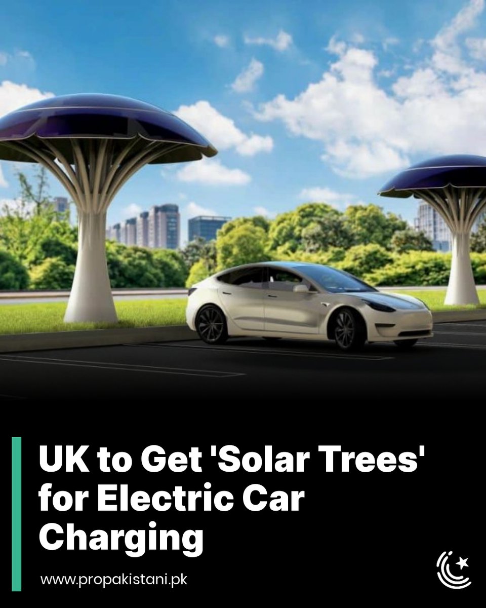 ProPakistaniPK's tweet image. SolarBotanic Trees cost between Rs. 6.2 million to Rs 8.6 million, able to power up several charging points.

Read More: propakistani.pk/2023/05/31/uk-…

#SolarTrees #UK #Electriccar